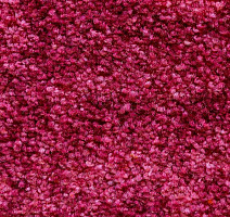 Ковролин AW Masquerade Palio 11 фото 1 | FLOORDEALER